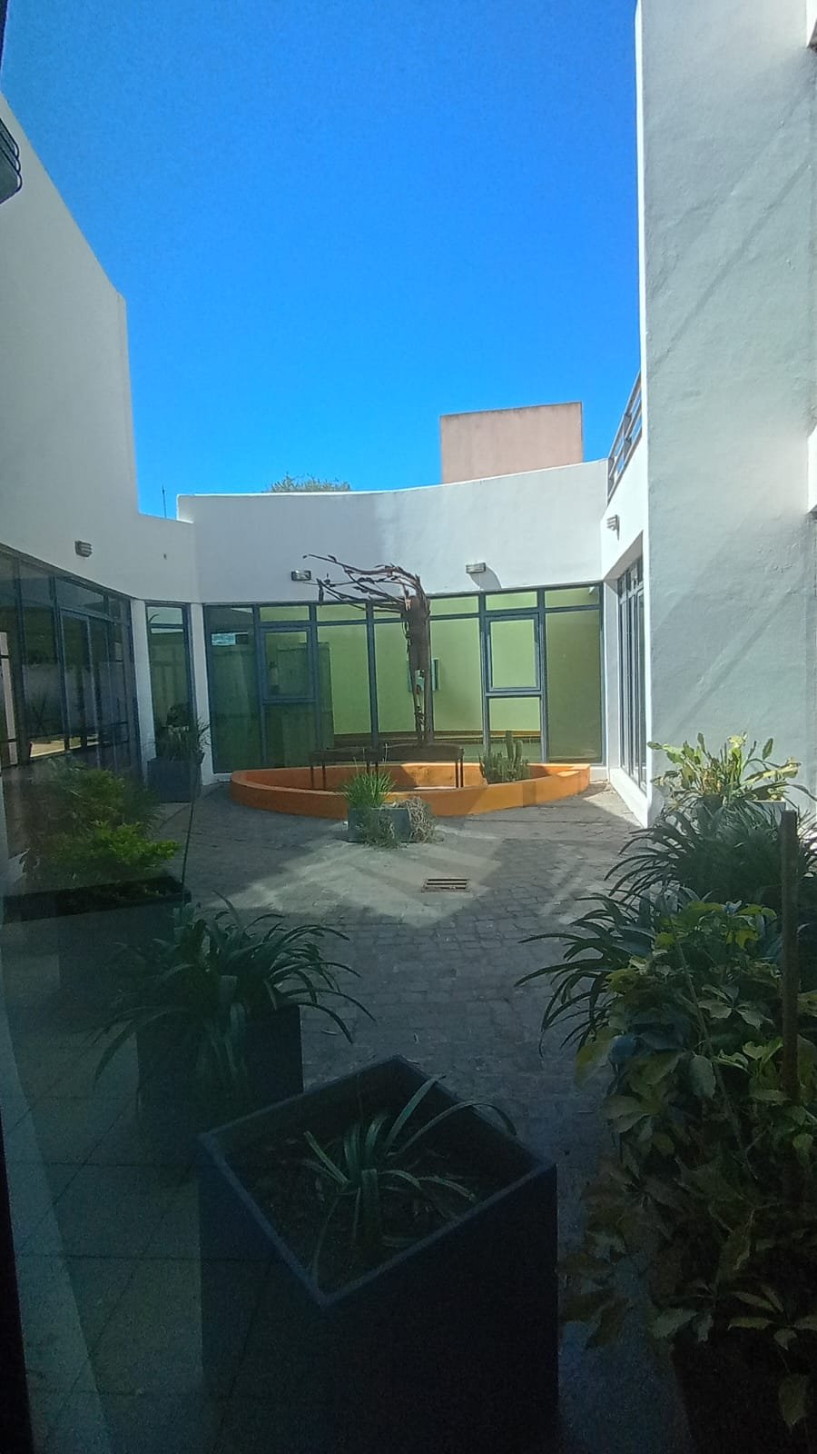 Patio del centro cultural